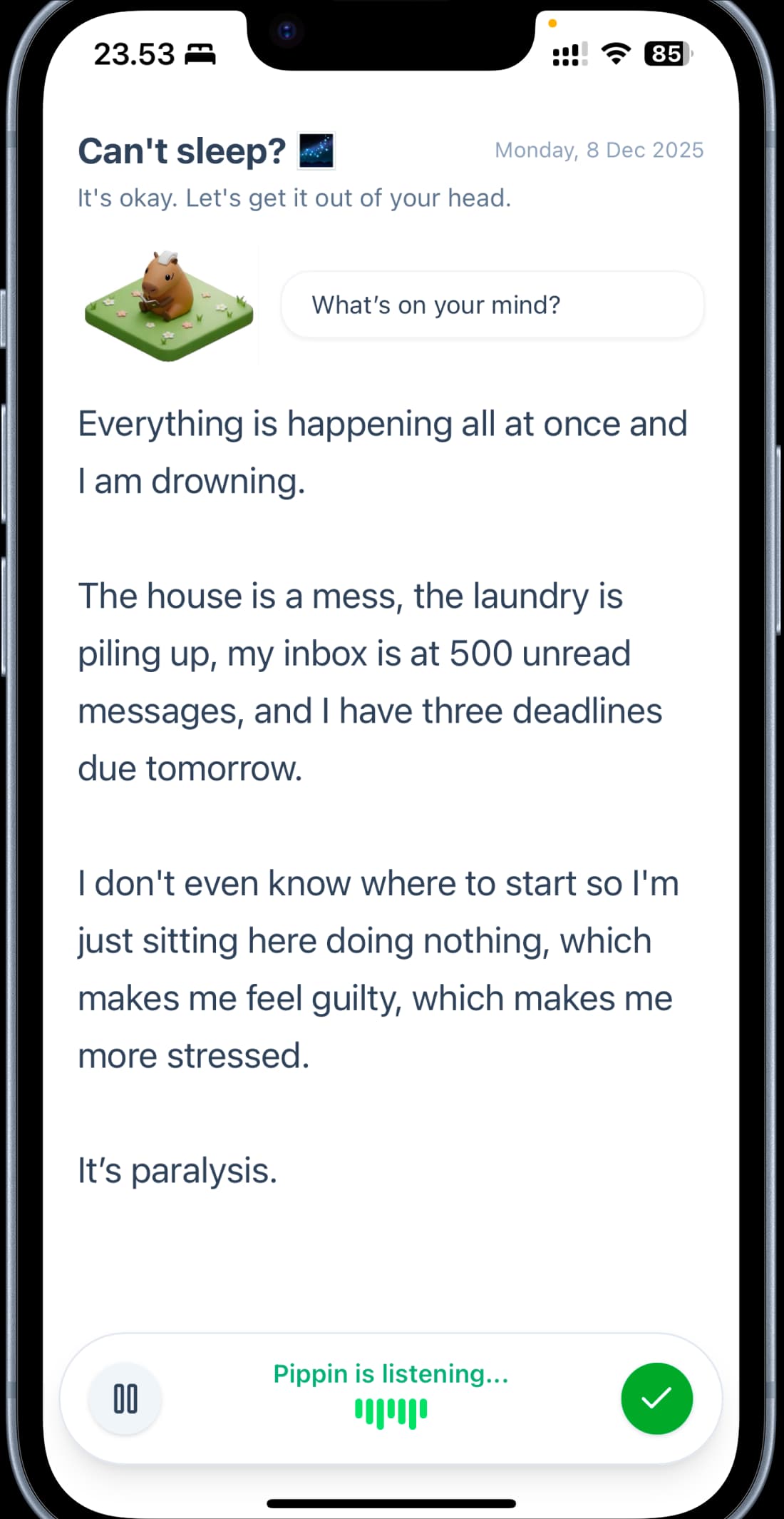 Pippin - Overthinking Journal