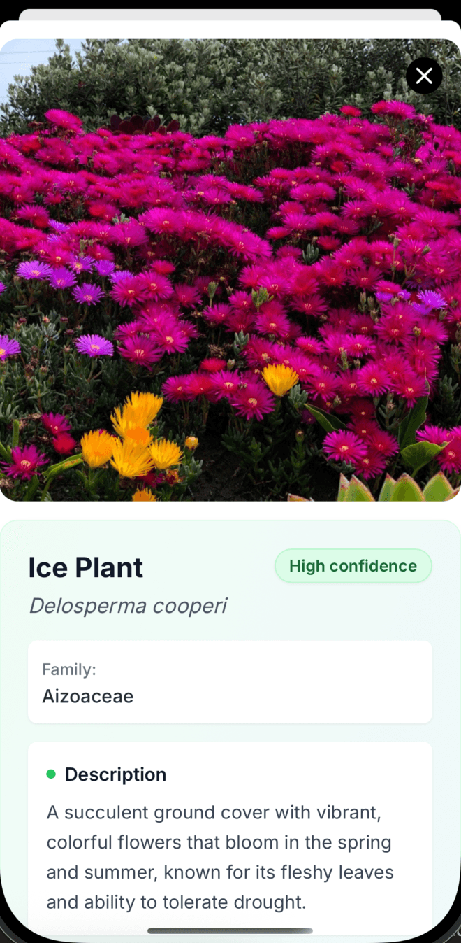AI Plant Identifier App Mockup 4